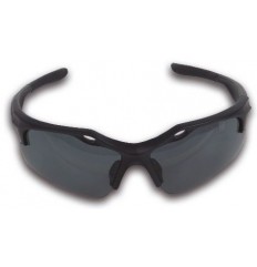 Okulary ochronne BETA 7076BD