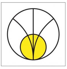 Oznakowanie promieniowania Promieniowanie elektromagnetyczne (strefa pośrednia)