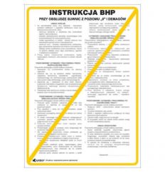 Instrukcja BHP i PPOŻ BHP przy obsłudze suwnicy sterowanej z parteru